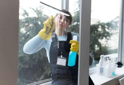 Nettoyage de vitres intérieures et extérieures à Chapet